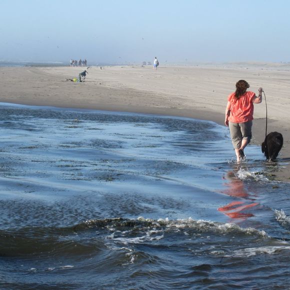 Meet your Posher, Kim - Picture 1 of 1